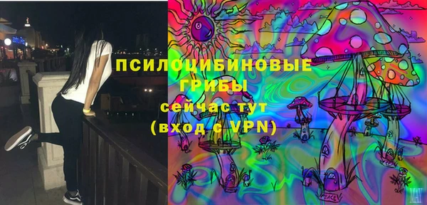мдпв Абдулино