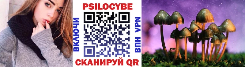 где найти наркотики  OMG как зайти  Псилоцибиновые грибы Psilocybe  Химки 